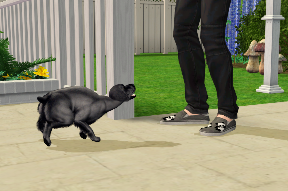 Sims2-EP9-RPC-2021-09-19-19-54-59-93