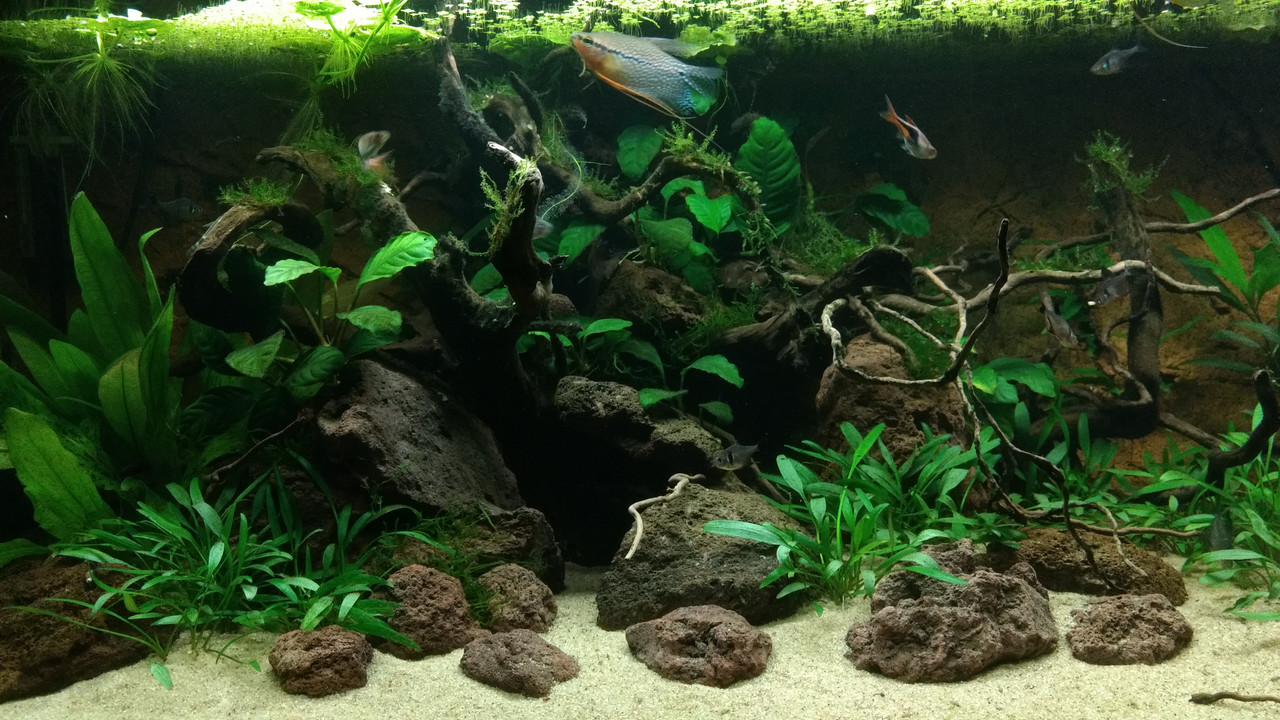 IMG_20180619_221149105