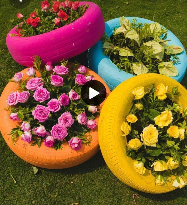 Screenshot_20230518_003852_Pinterest