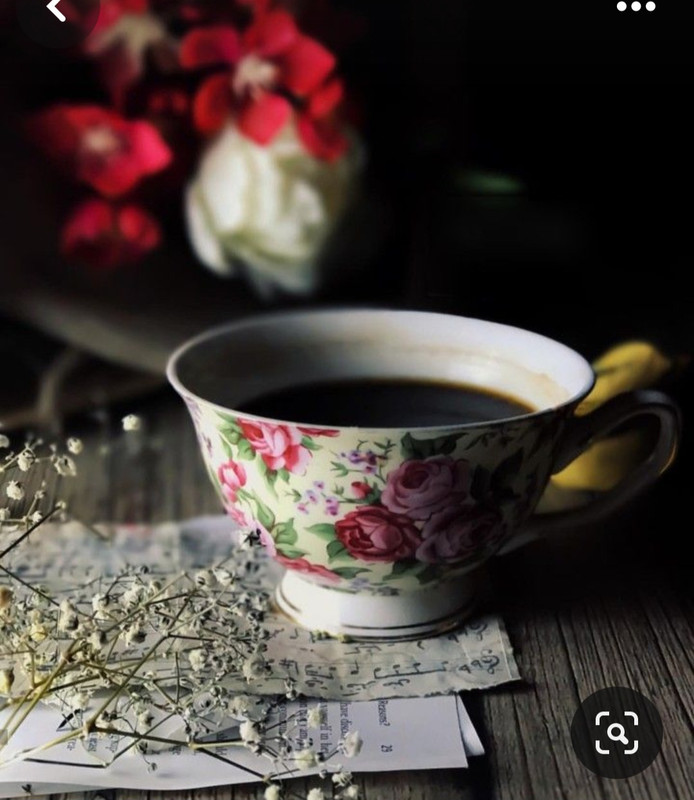 Screenshot_20240328_231135_Pinterest