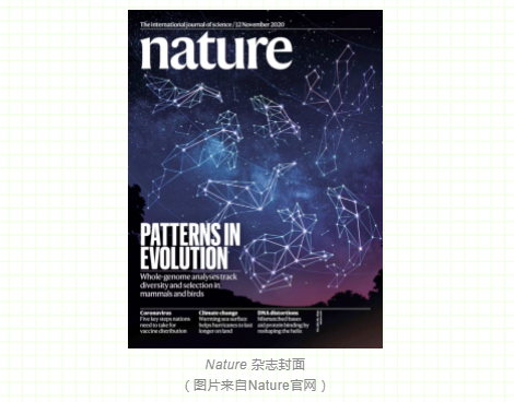 万种鸟类基因组计划第二阶段(科级别)最新研究结果-1.png