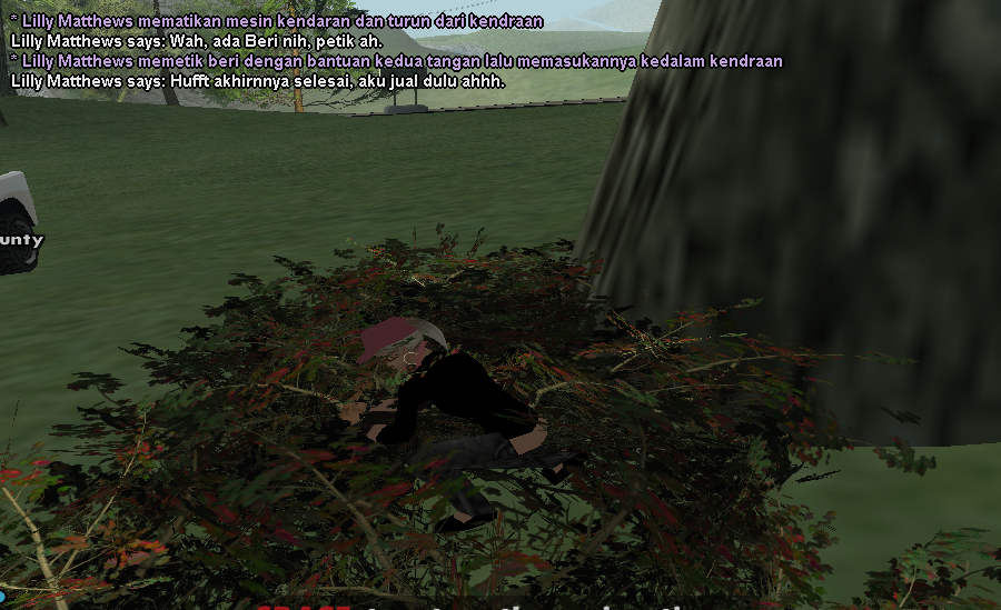 SS-14.png