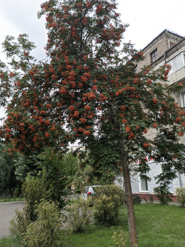PXL_20230821_070927186
