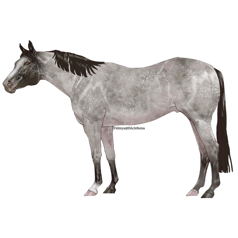 S.png