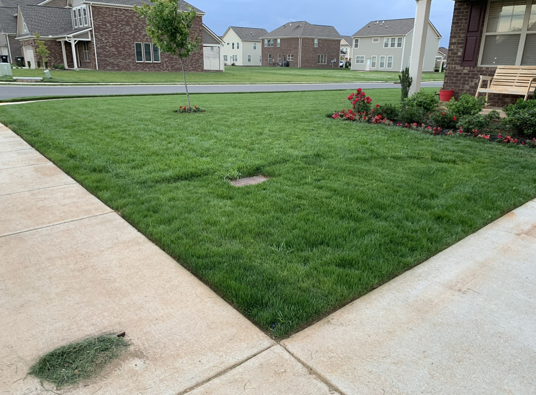 FFDA11CF-8120-42B5-875B-AB2173321BDB