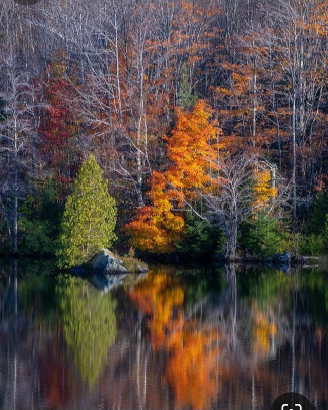 Screenshot_20240218_211229_Pinterest