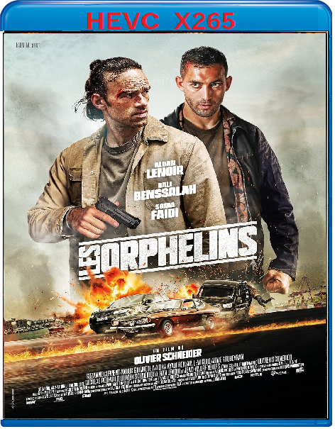 Les Orphelins (2025) mkv FullHD 1080p HEVC AC3 ITA FRE Sub