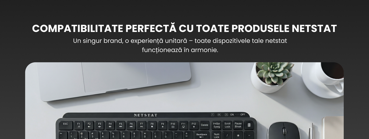 Mouse Wireless NETSTAT - utilizare birou