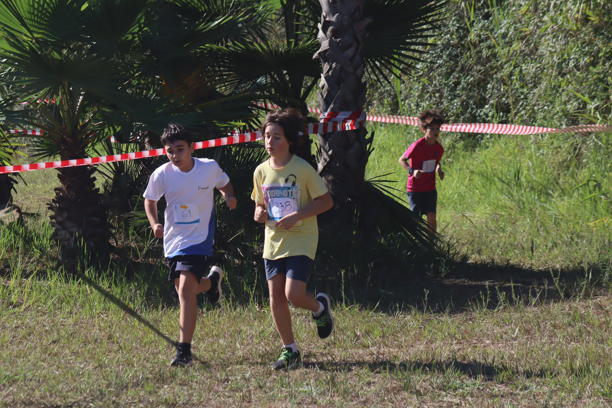 IMG-0477