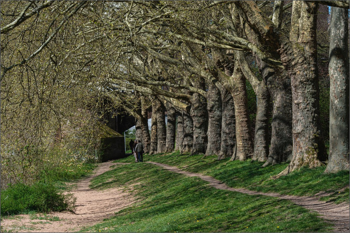 XT5A7552-Verbessert-RR  2025 SB Staden LR ERWZ FB