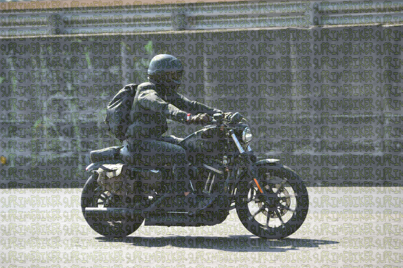 DSC 0041