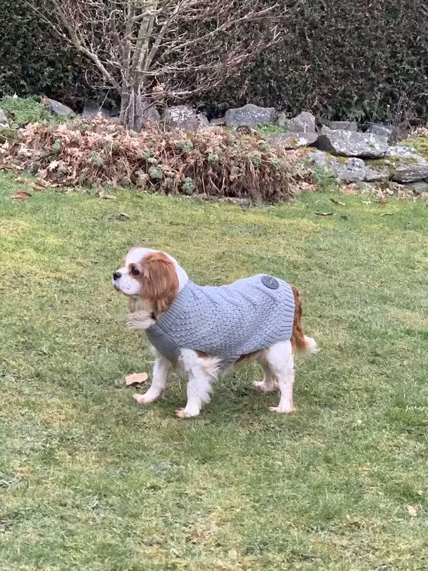 0832C813-876F-49D1-B5BC-6ED726FD72EC