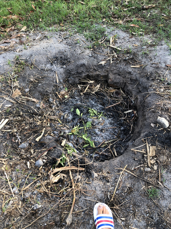 57257491051__3AD2B770-C141-45BD-B469-784F16D2102B