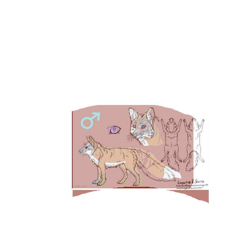 Trace.png