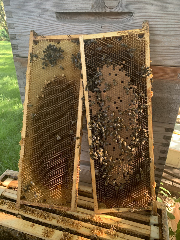 D2C69CCD-332C-47CB-A01E-5C52786A2B3F