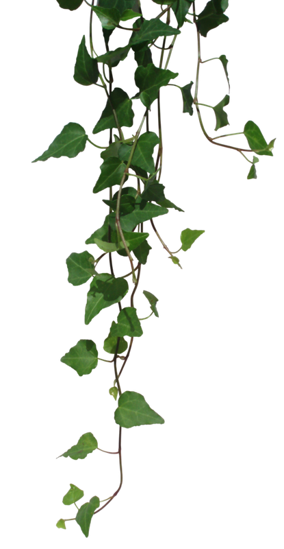 75937cca4757d6ab63d5d746d6296ec7