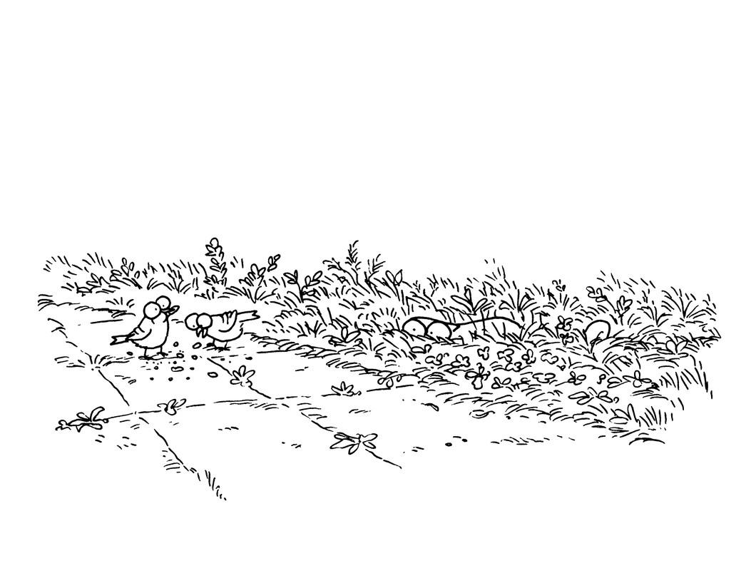 p0067