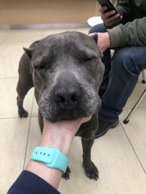 29CC1A15-34D5-4251-BA92-AB961229FCAB