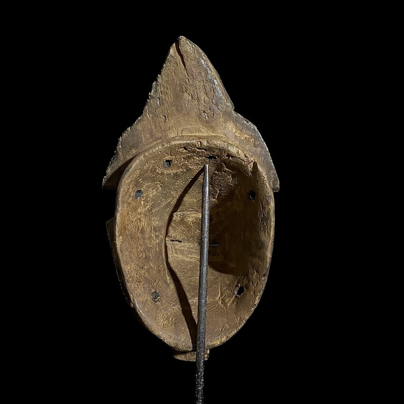 large image 10