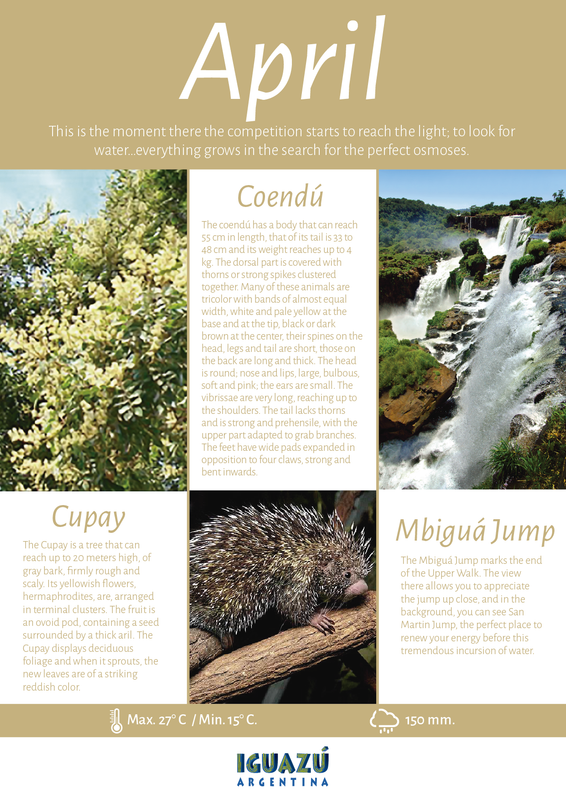 FLYER MESES CALENDARIO NATURAL ING_Mesa de trabajo 1 copia 3 (5)