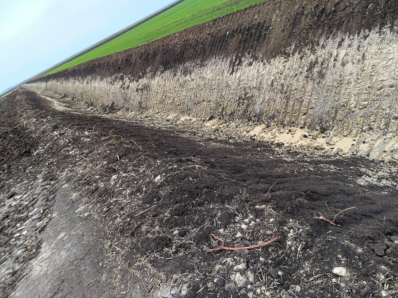 IMG 20251127 140111 944