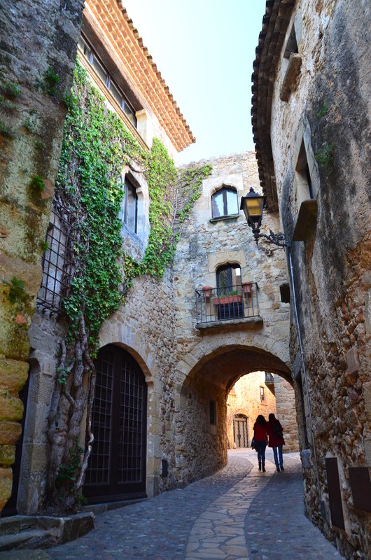 PALS-21-11-2017 - Gerona y sus pueblos-2016/2017 (12)