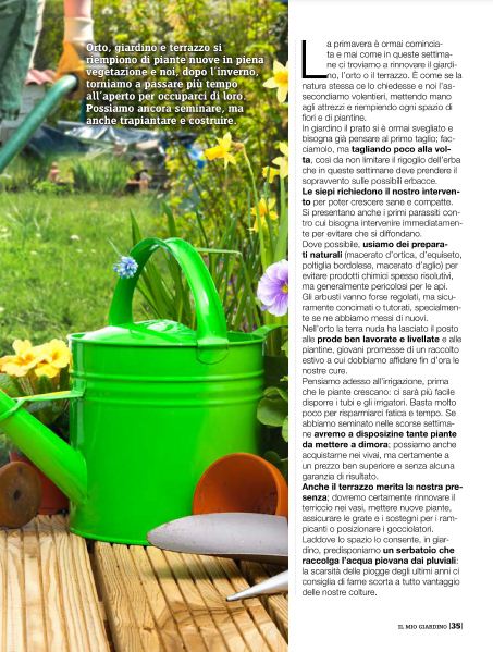 il Mio Giar Apr 2020 (6)