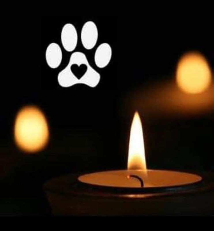 [Image: FB-IMG-1749109850903.jpg]