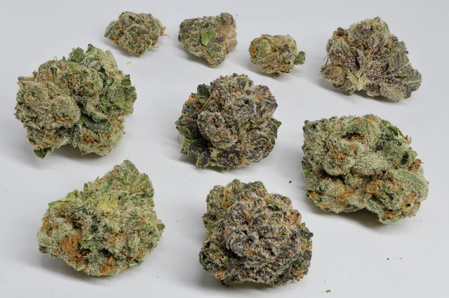 Purple Kush strain flower