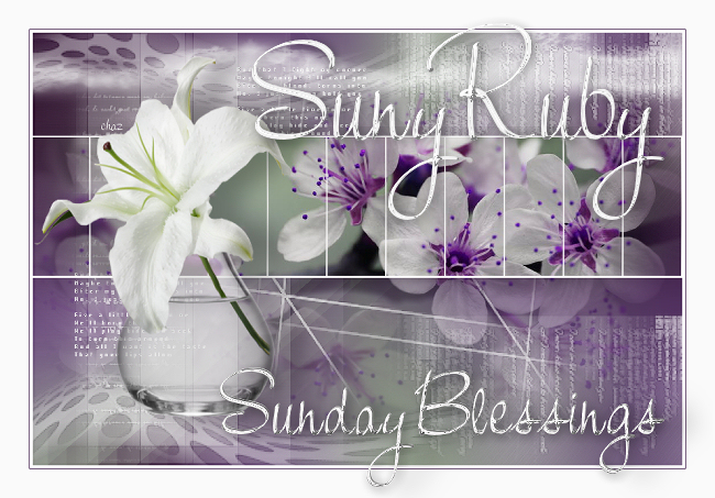 Suny-Ruby-Sunday-Blessing-Purple-Flwr