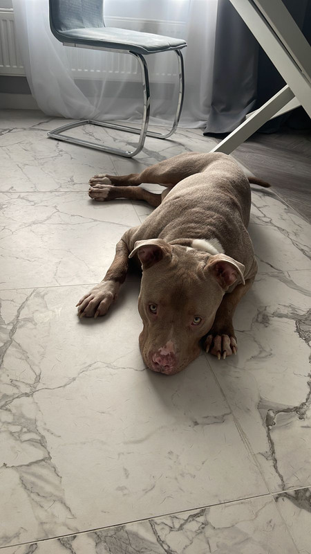 2CEC1DC5-C59A-4985-8C5C-020753718FEB