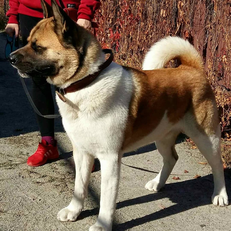 IMG_20191127_232638_046(1)