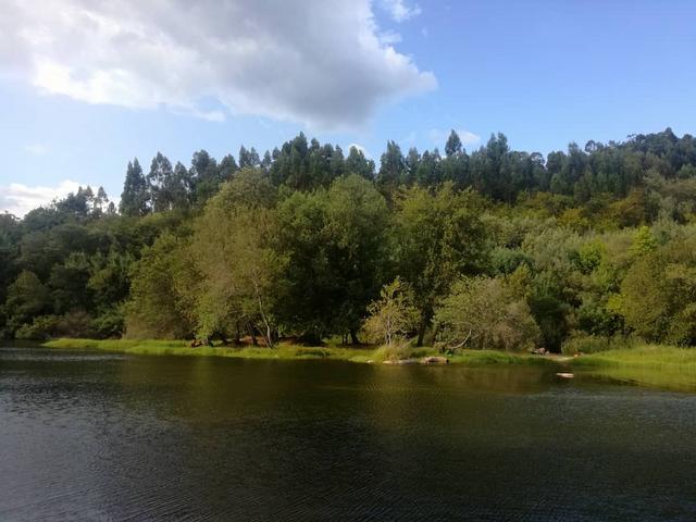 IMG-20190915-110517-881.jpg