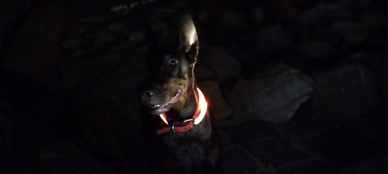 0 02 05 62a20883a27d7b4debdb708a54db81449a4fcfd141ca862dfb742345ec9a8178 2b1ca0df6ddfb0c8