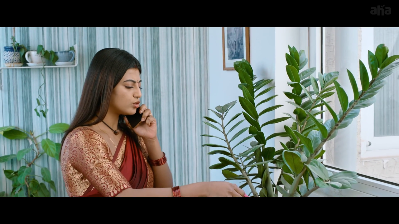 vlcsnap-2025-04-21-20h05m48s021