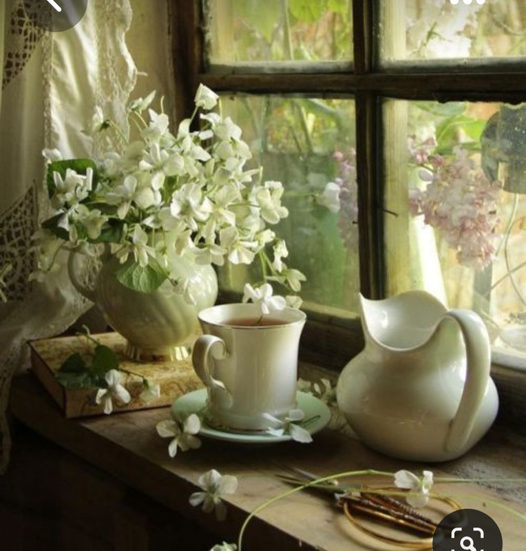 Screenshot_20230622_000700_Pinterest