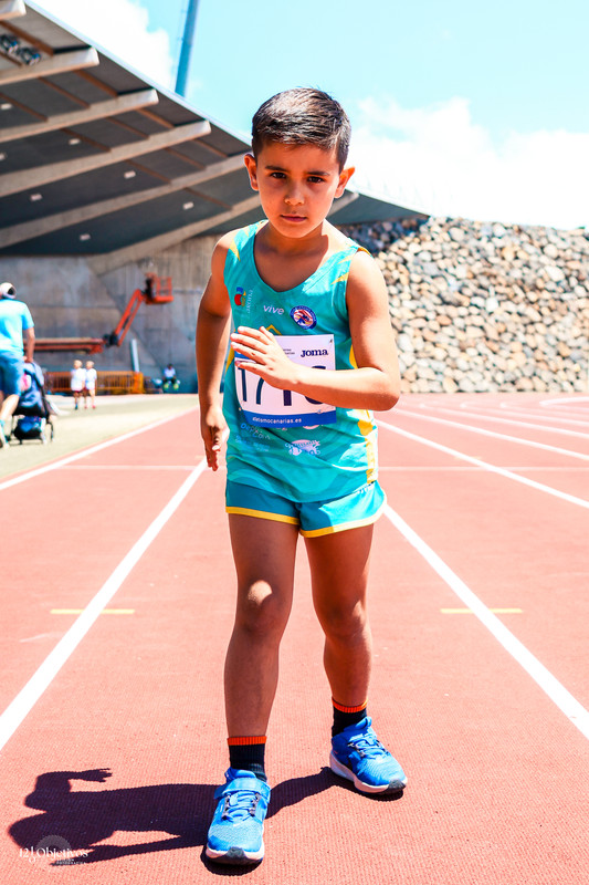 Canary Run 42
