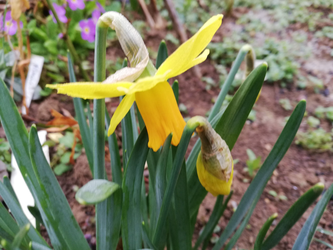 IMG_20240229_081807