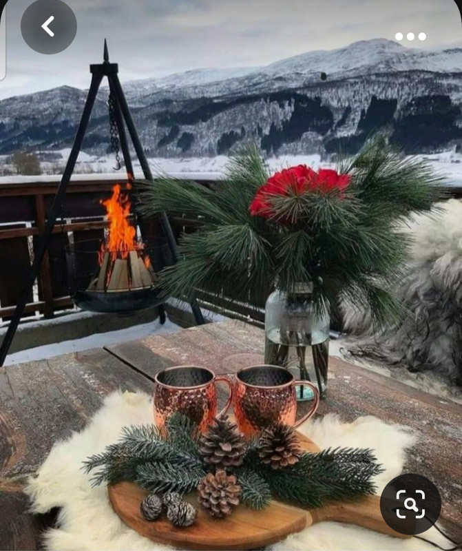 Screenshot_20231102_132015_Pinterest