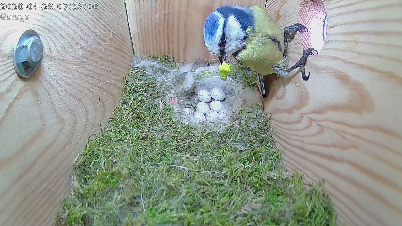 61BA8B75-94F3-45ED-B562-BD5071B3E667