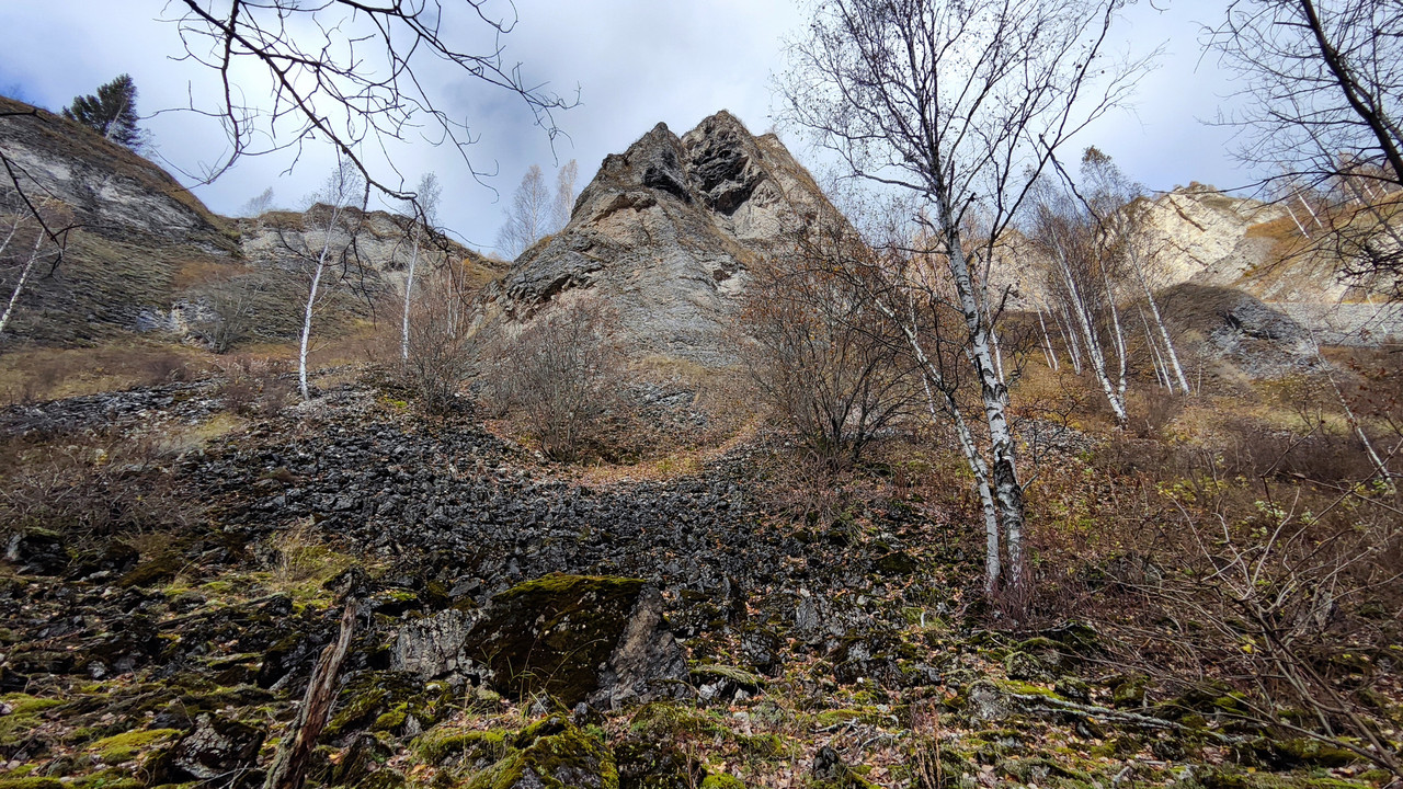PA061932b.jpg