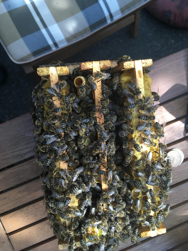 C7E637E7-4285-4B71-A5D2-3E8426053A1A