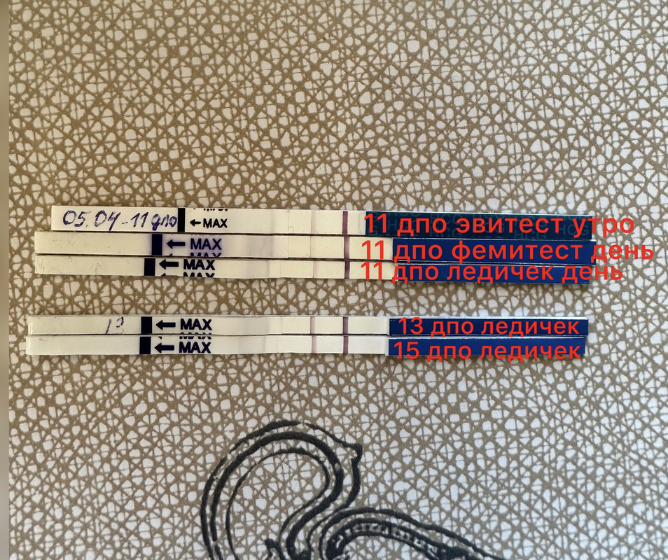 B43787CA-02EF-455D-AB28-8209E33840D5