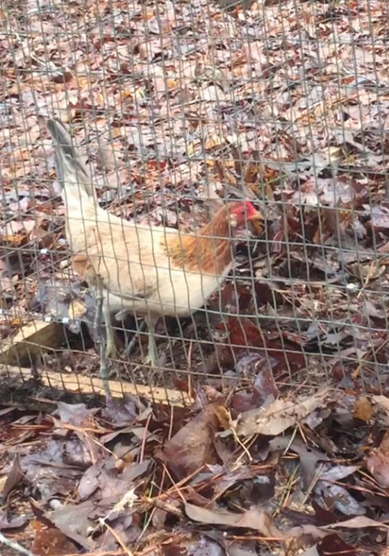 9A7B3A75-1693-4A3D-8FAE-35B6DF19B9A9