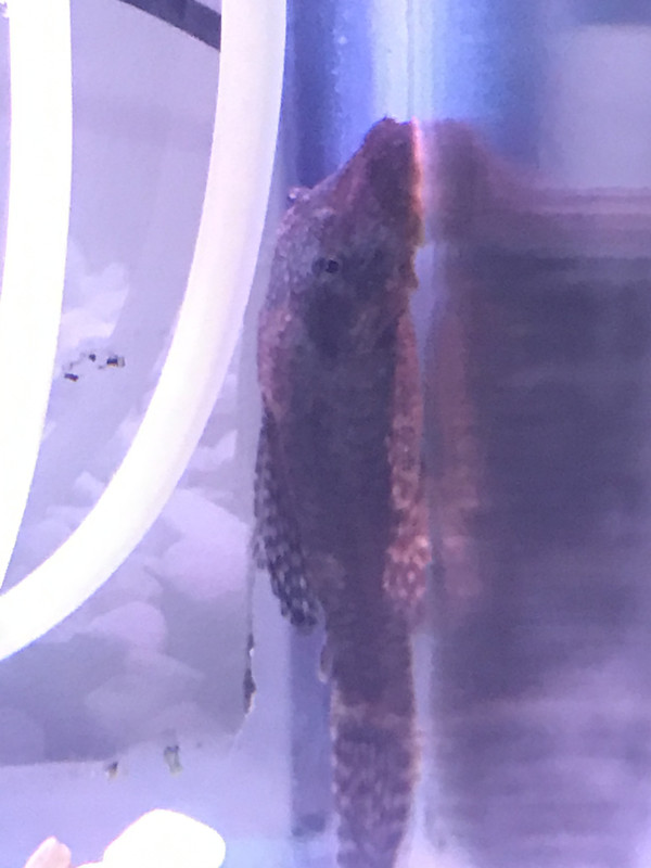 1C8591F2-10FD-41C4-87A1-E747CC01B887