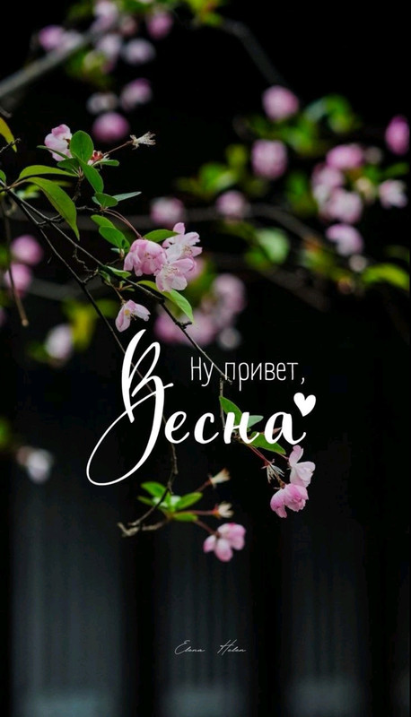 Screenshot-20230301-075636-com-viber-voi