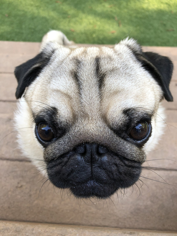 4A48759E-F6EF-491F-B106-07E3E0070520