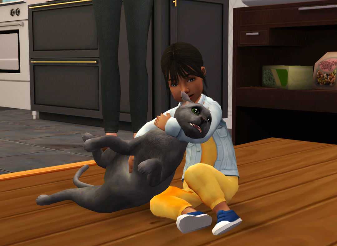 Sims2-EP9-RPC-2023-09-29-20-49-48-77