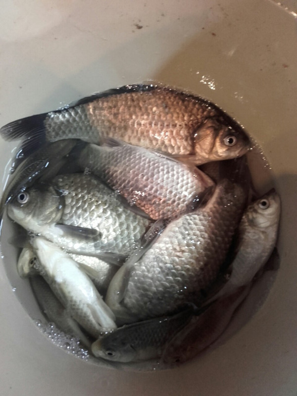 viber_изображение_2019-05-19_13-50-27