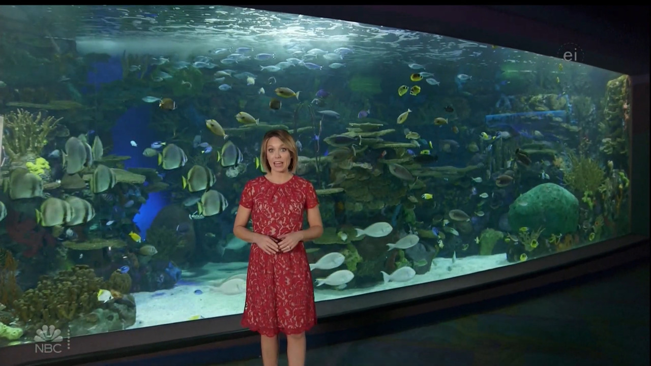 11.07 - 15.00.00 - Earth Odyssey With Dylan Dreyer. The world's smart....ts_snapshot_01.05.14.532